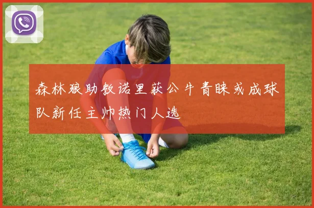 森林狼助教诺里获公牛青睐或成球队新任主帅热门人选